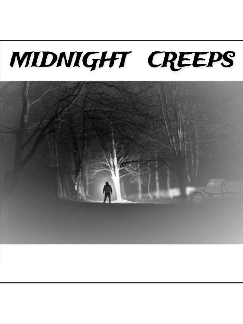 25 10X13 Midnight Creeps Poly Mailers PRICE FIRM Fall - Picture 5 of 15